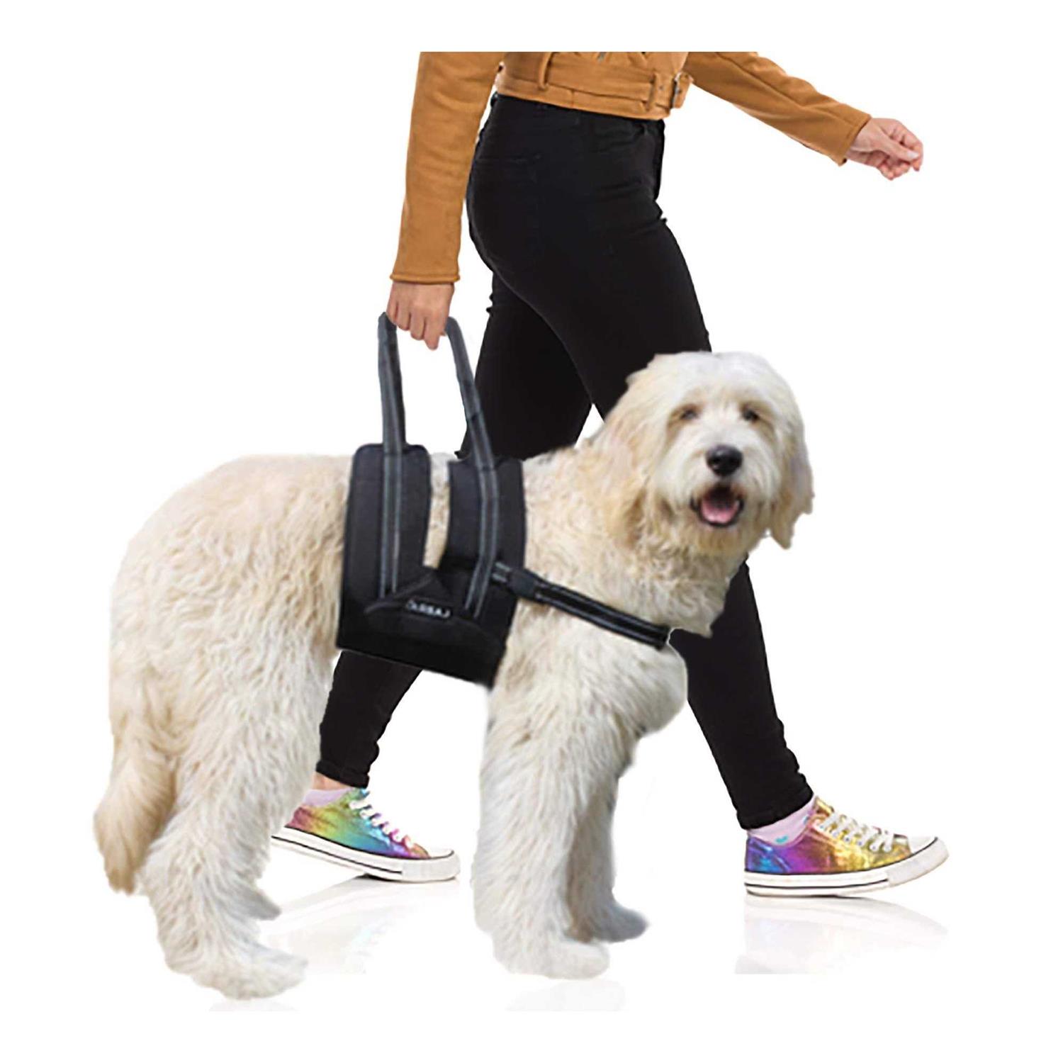 Labra Veterinarian Approved Dog Canine K9 Sling Assist with Chest Strap Adjustable Reflective Straps Support Harness Helps with Loss of Stability - Healthber
