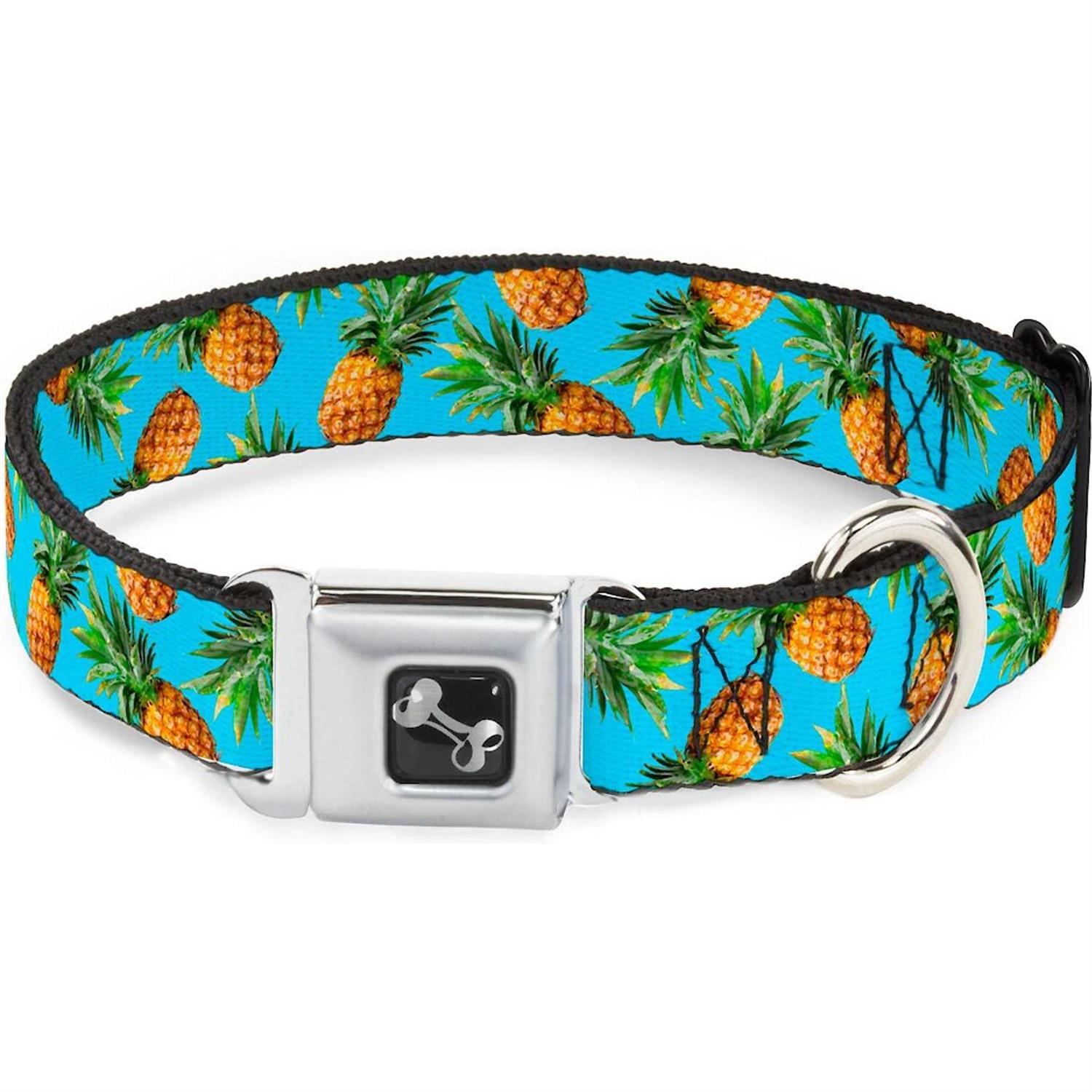 Buckle Down Dog Collar Seatbelt Buckle - Healthber
