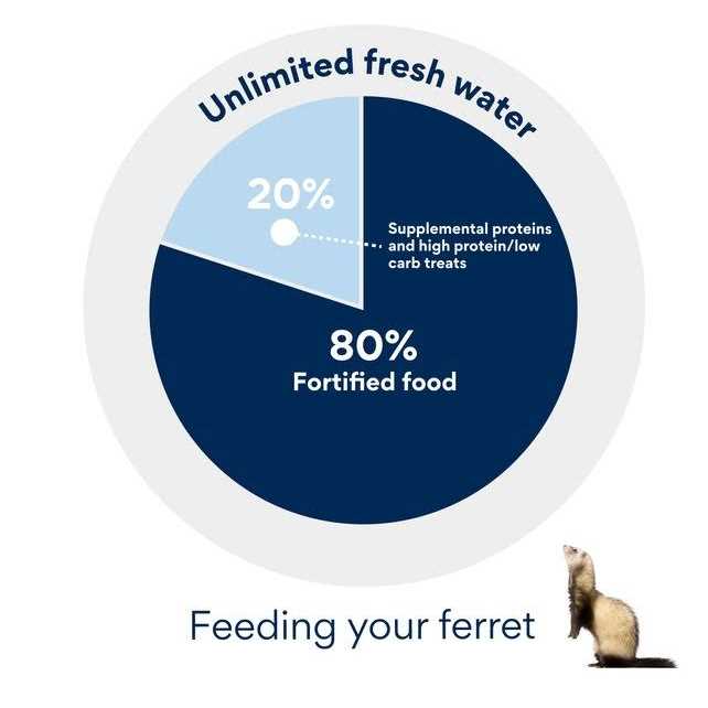 Wysong Ferret Archetype Formula - Healthber