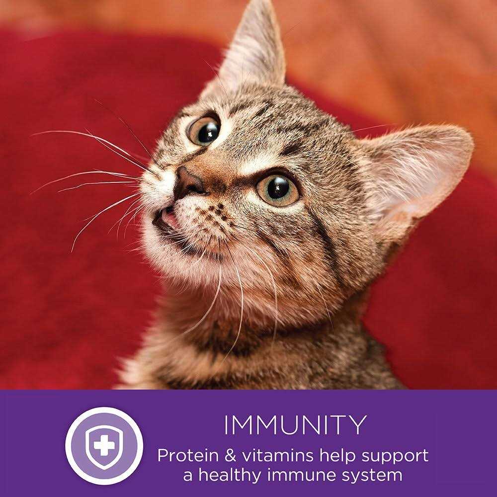 Wellness Healthy Indulgence Natural Grain Free Gravies and Gravy Cat Food Pouch - Healthber