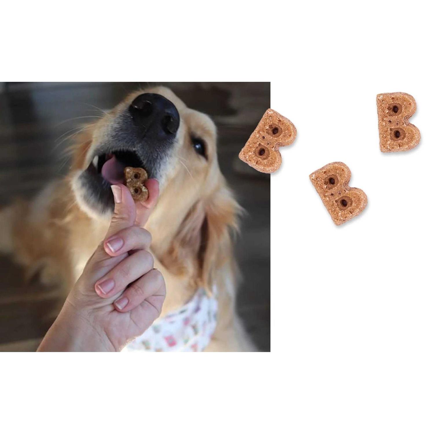 Bocce’s Bakery Berry Sorbet Soft & Chewy Dog Treats - Healthber