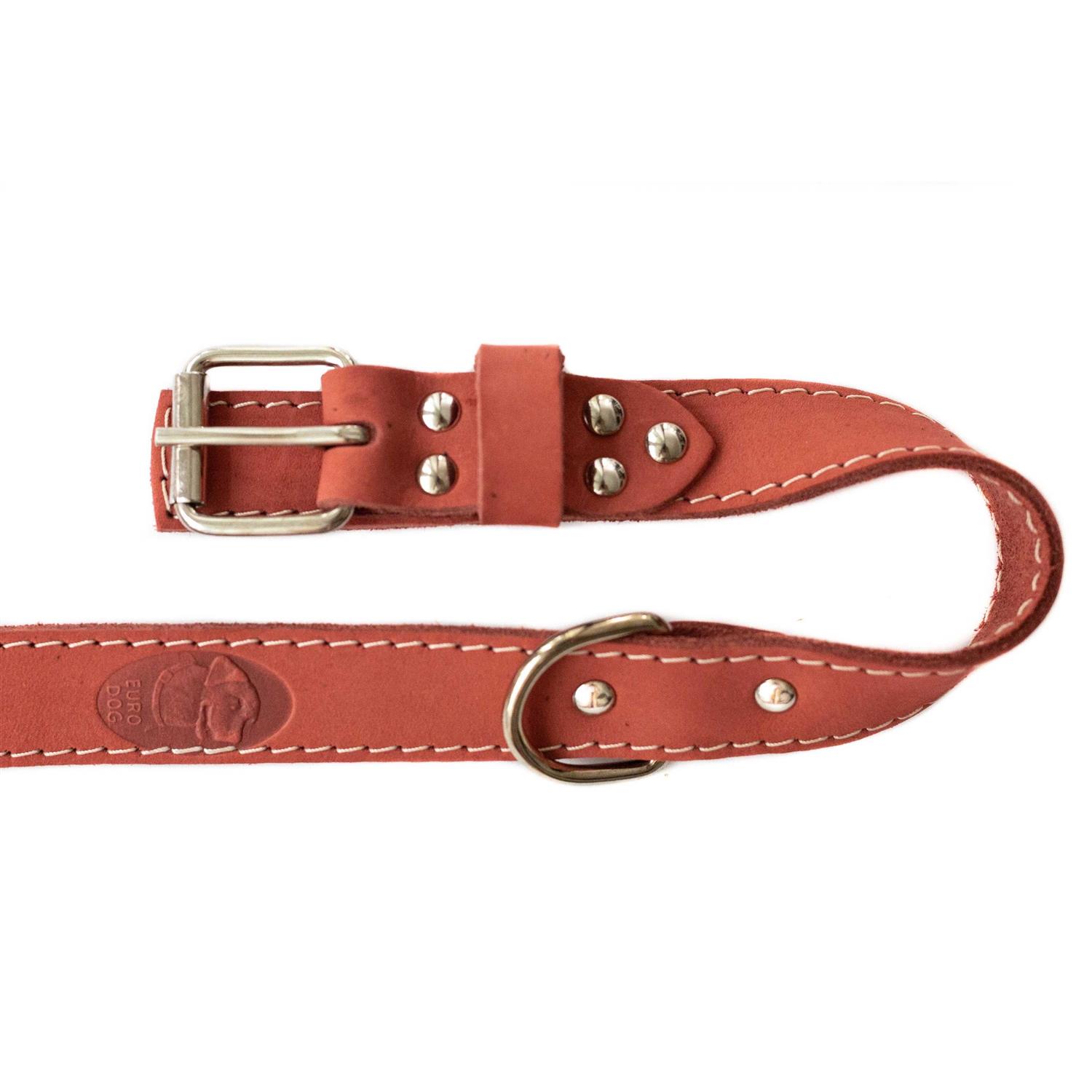 Euro-Dog Luxury Soft Leather Collar - Healthber