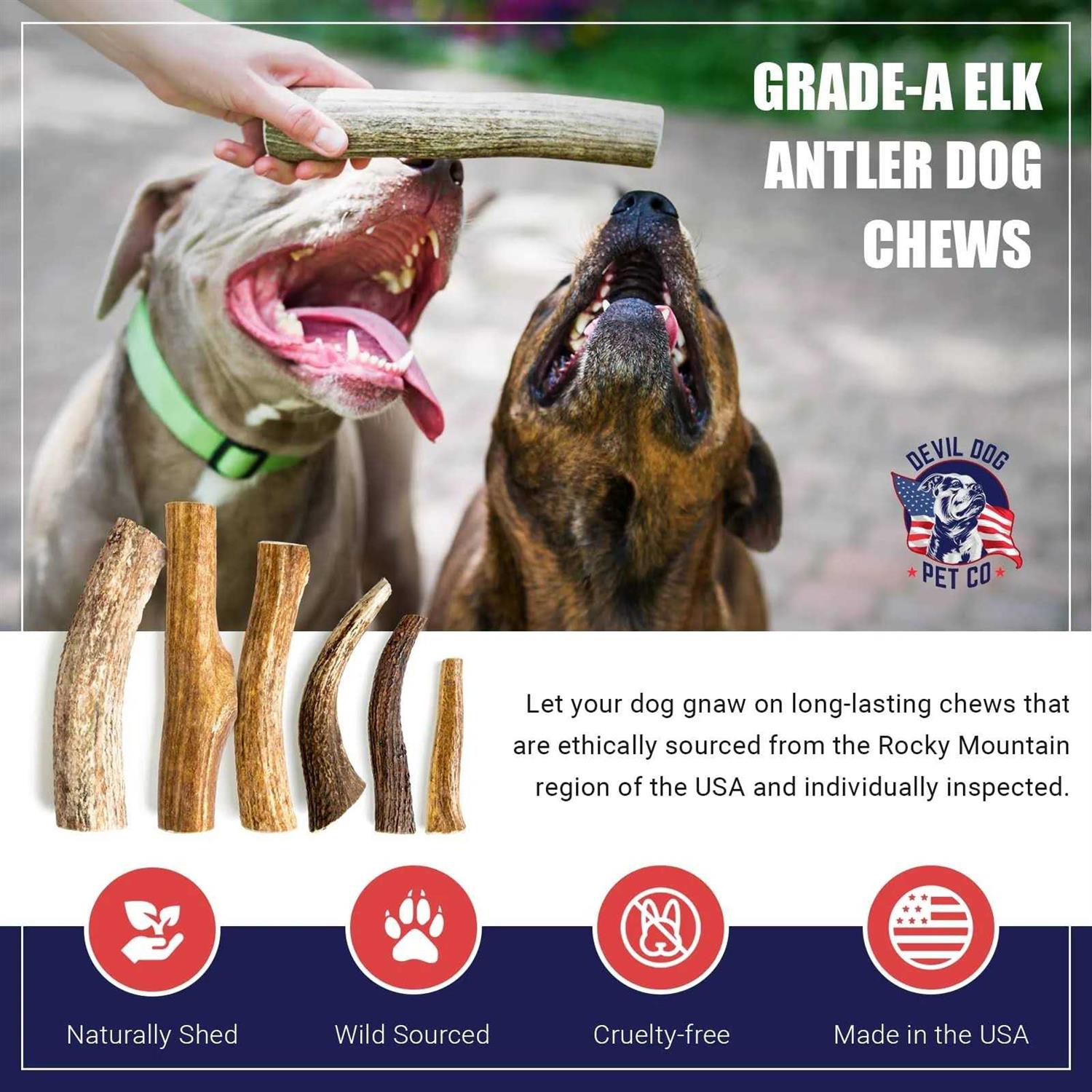 Devil Dog Pet Co Antler Dog Chew Premium Elk Antlers for Dogs Long Lasting Dog Bones for Aggressive Chewers - Healthber
