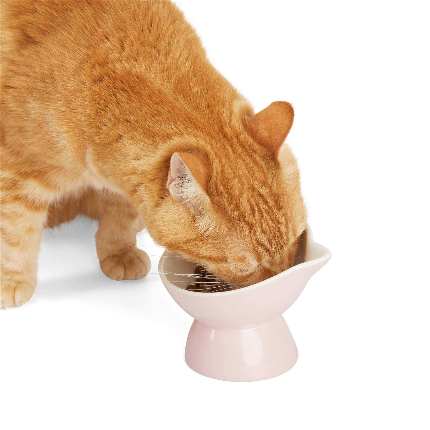 EveryYay Elevated Cat Ear Bowl - Healthber