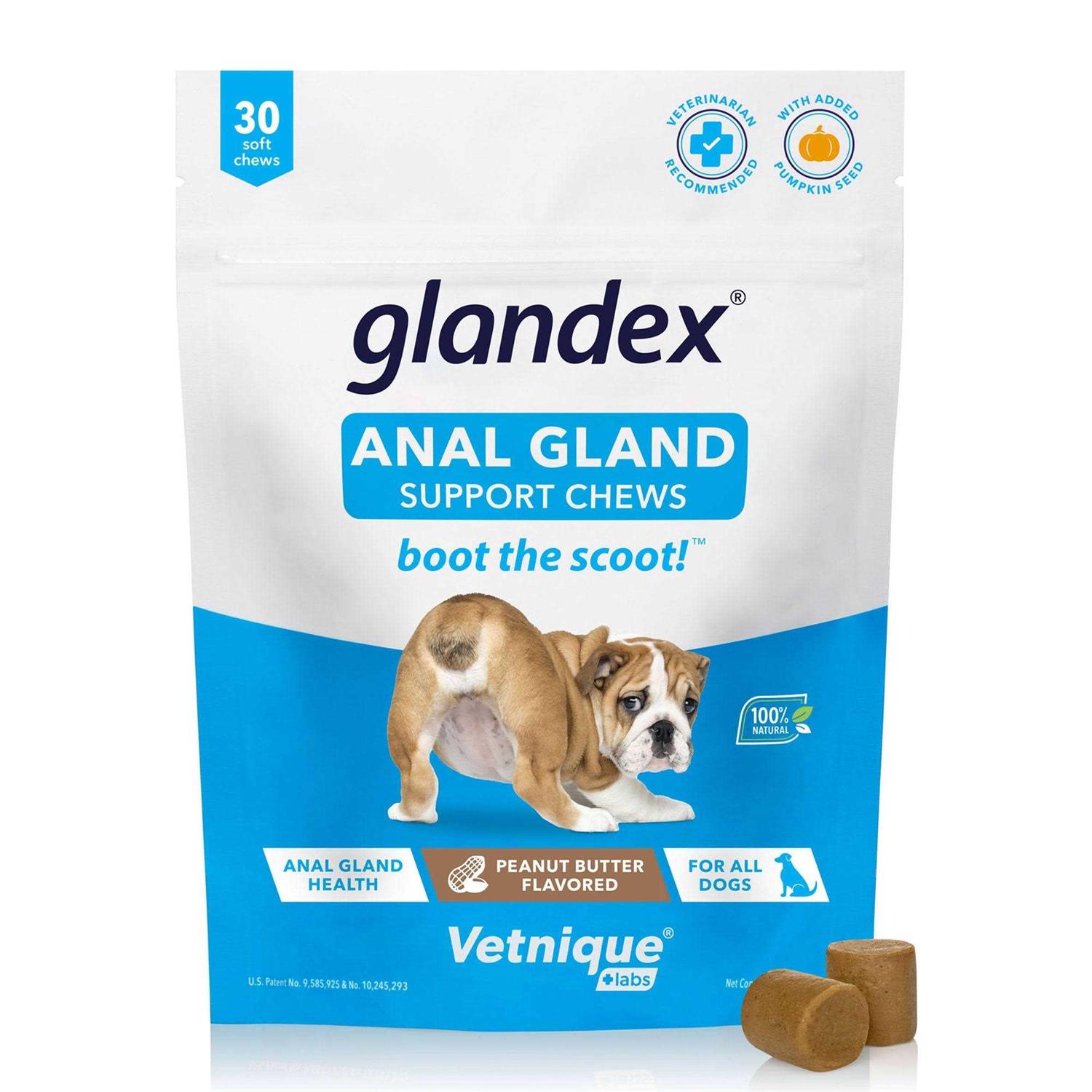 Glandex Anal Gland Soft Chews Supplement for Dogs - Healthber