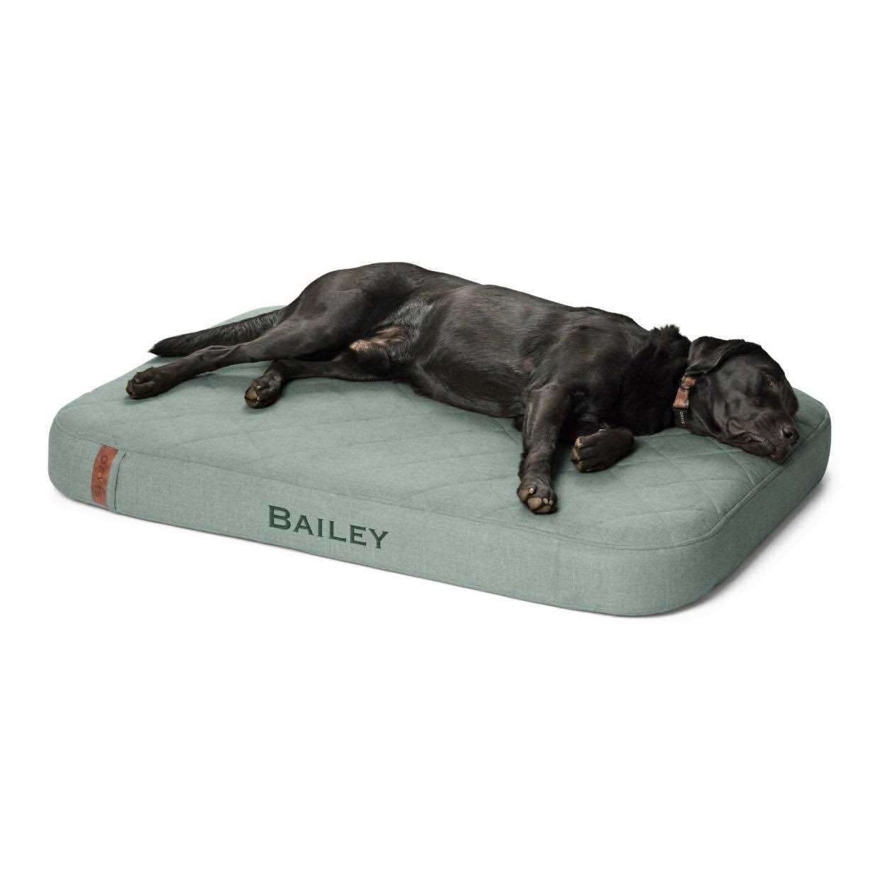 Orvis RecoveryZone Lounger Dog Bed - Healthber