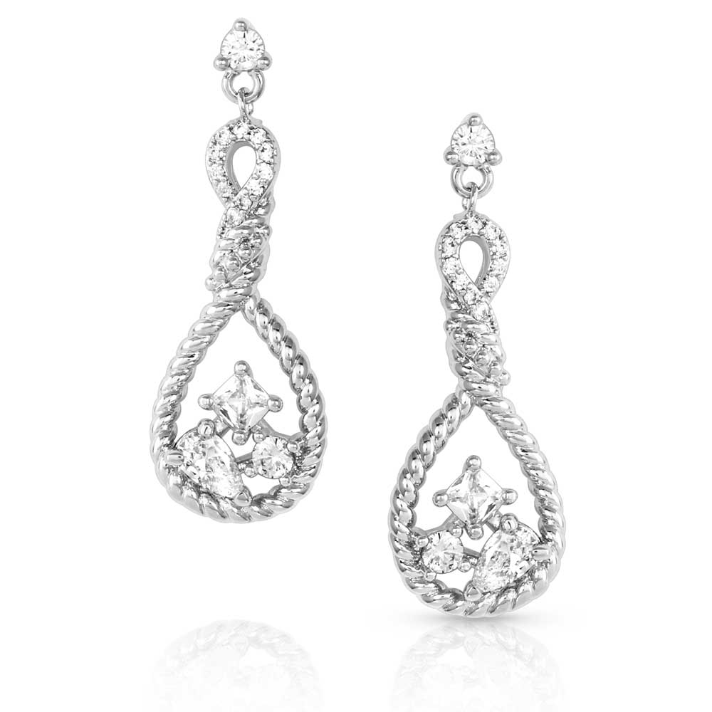 Corralling the Stars Crystal Earrings - Healthber