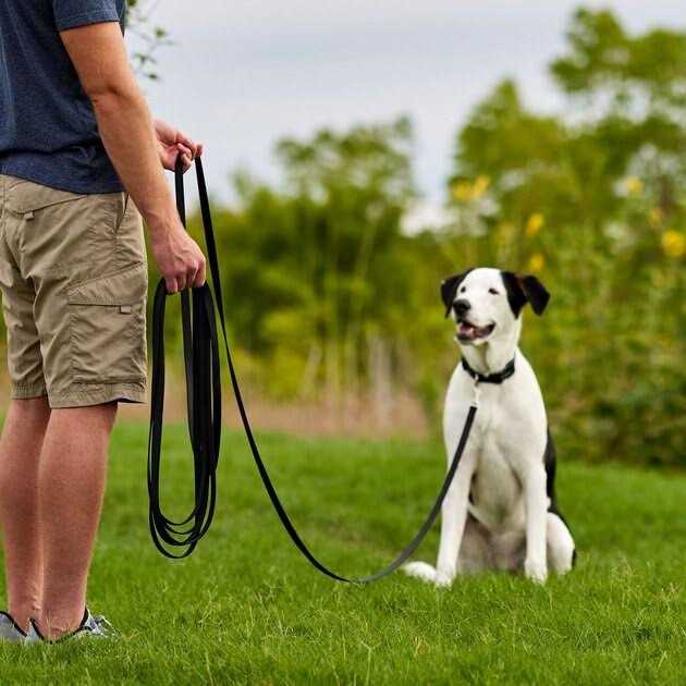 Frisco Training Leash - Healthber