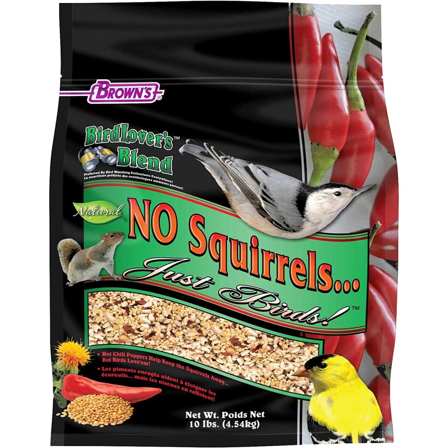 Bird Lover’s Blend No Squirrels… Just Birds - Healthber