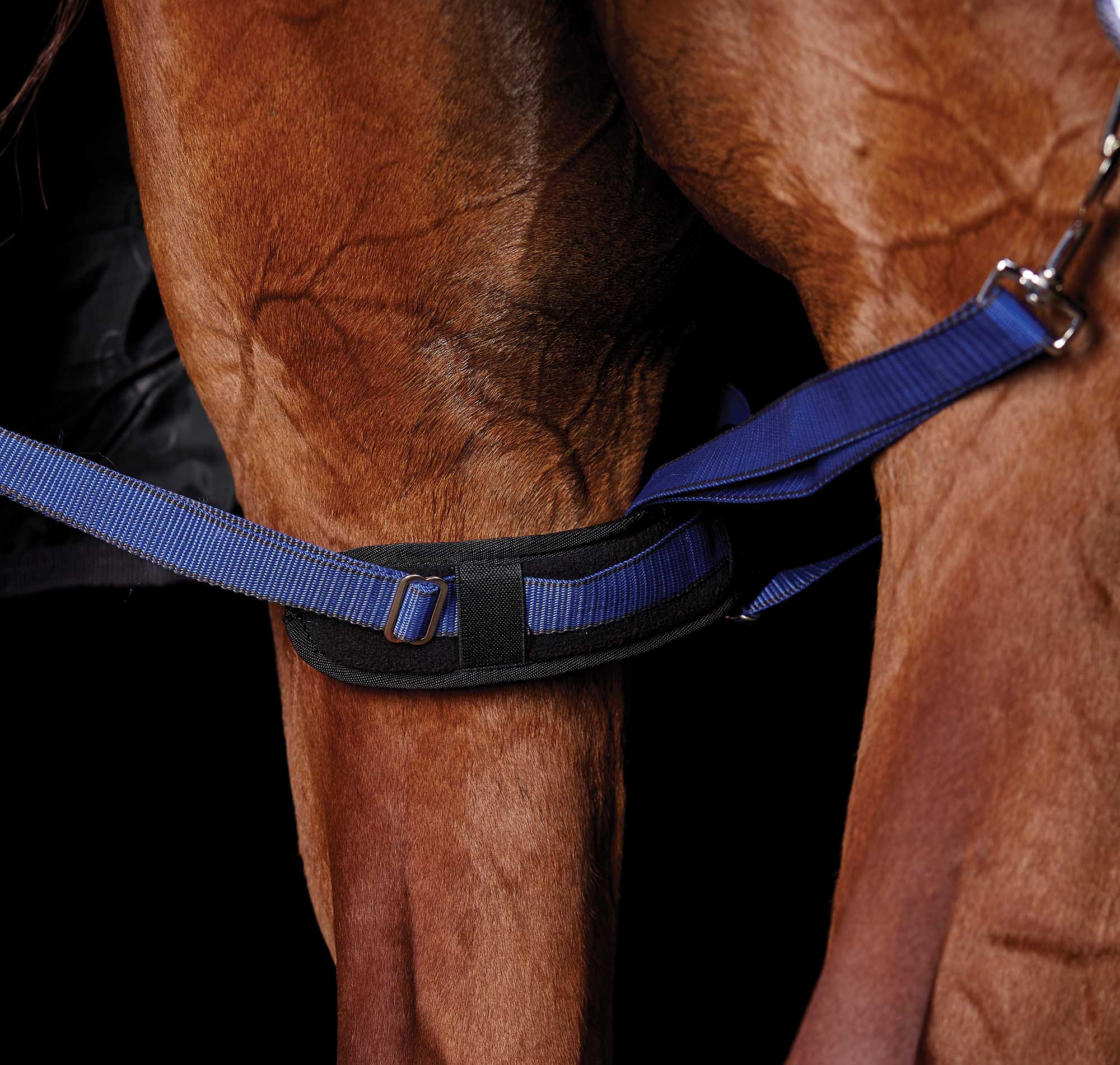 WeatherBeeta Padded Hind Leg Straps, Pair - Healthber
