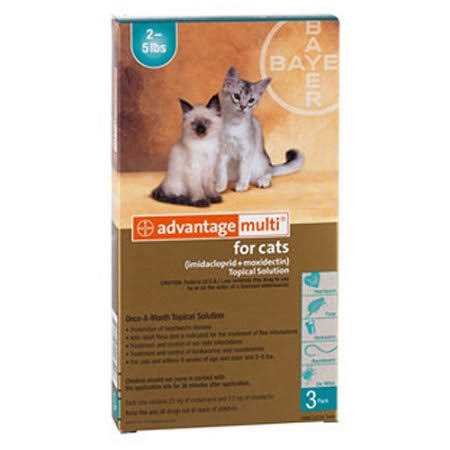 Advantage Multi for Cats - Healthber