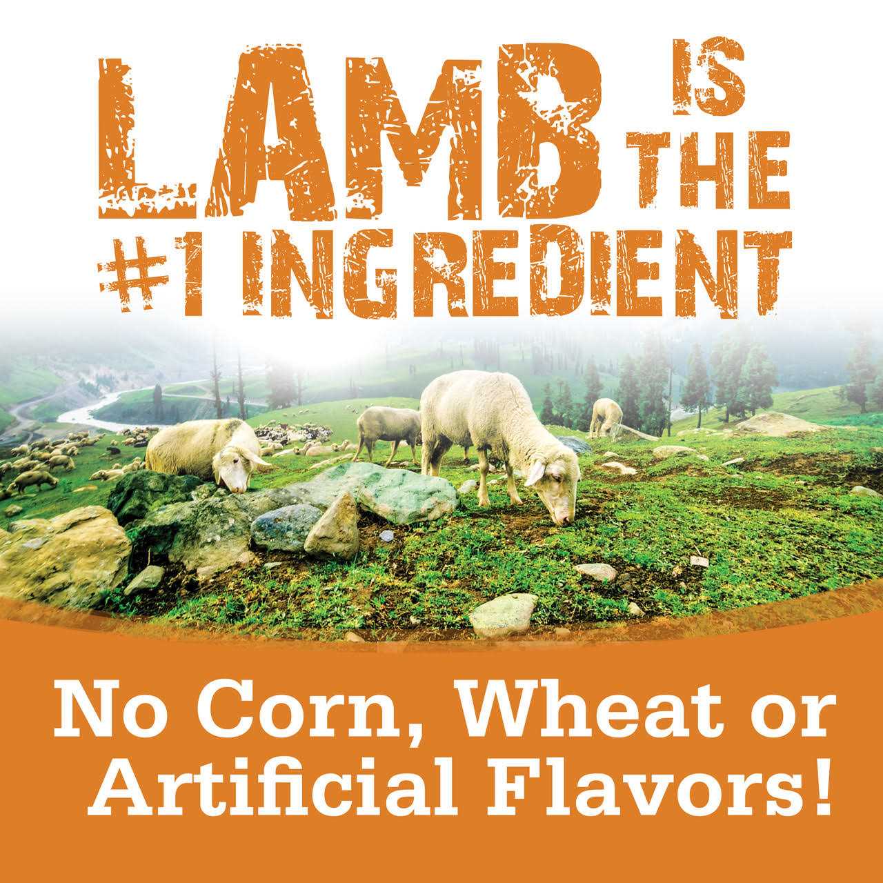 NutriSource Soft & Tender Lamb Dog Treats - Healthber
