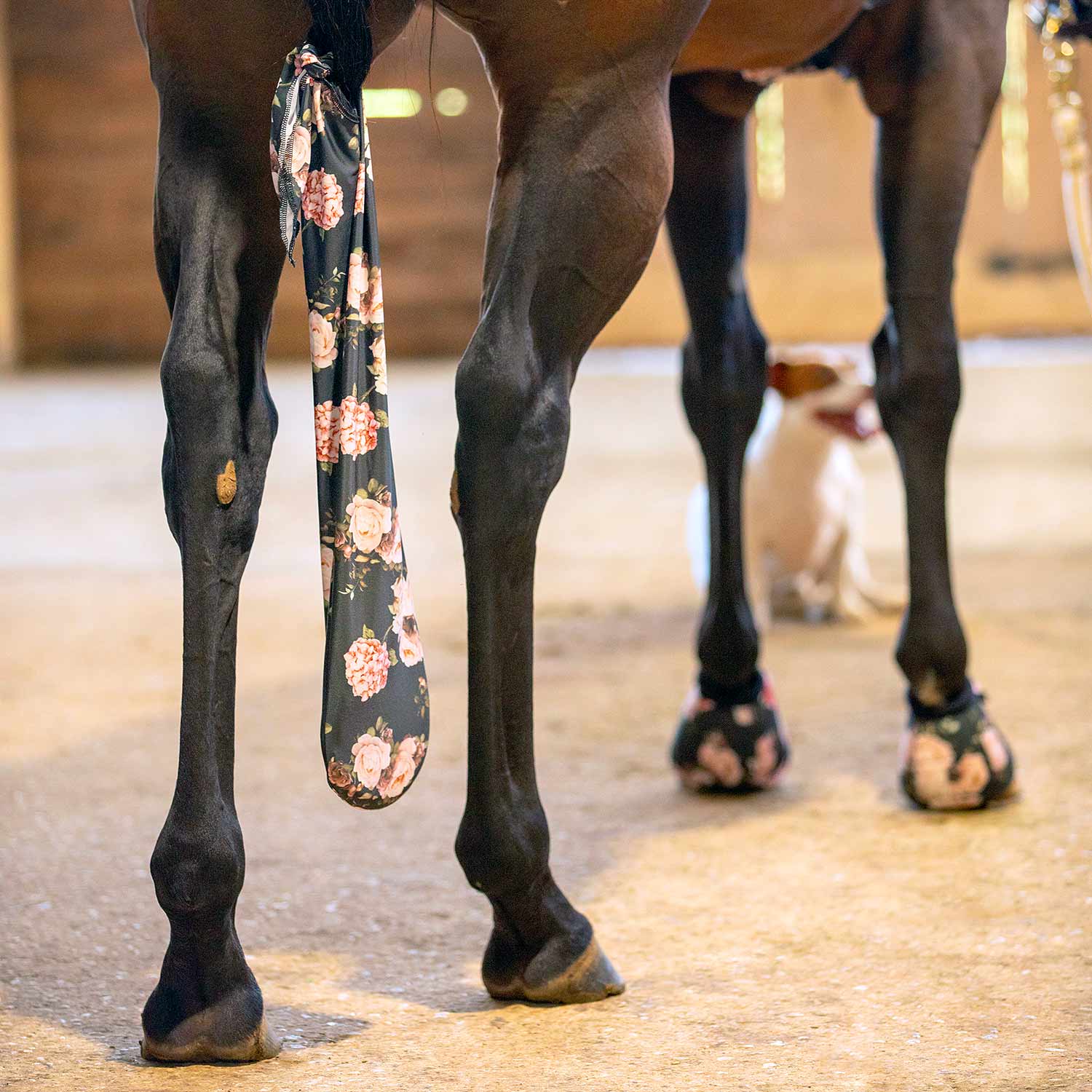Expression Lycra Horse Tail Bag - Healthber