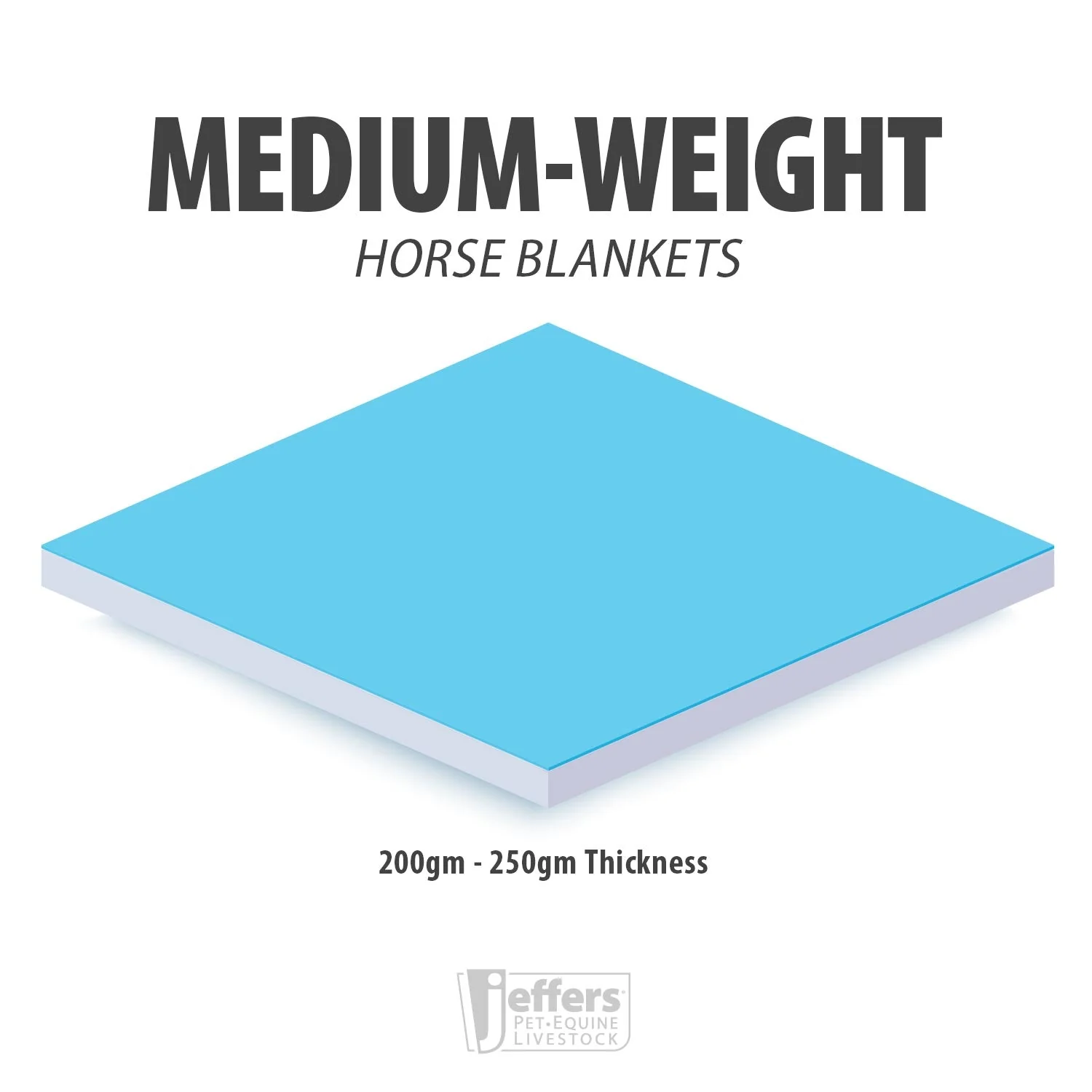 Economy Plus Combo Neck Medium Weight Horse Turnout Blanket - Healthber