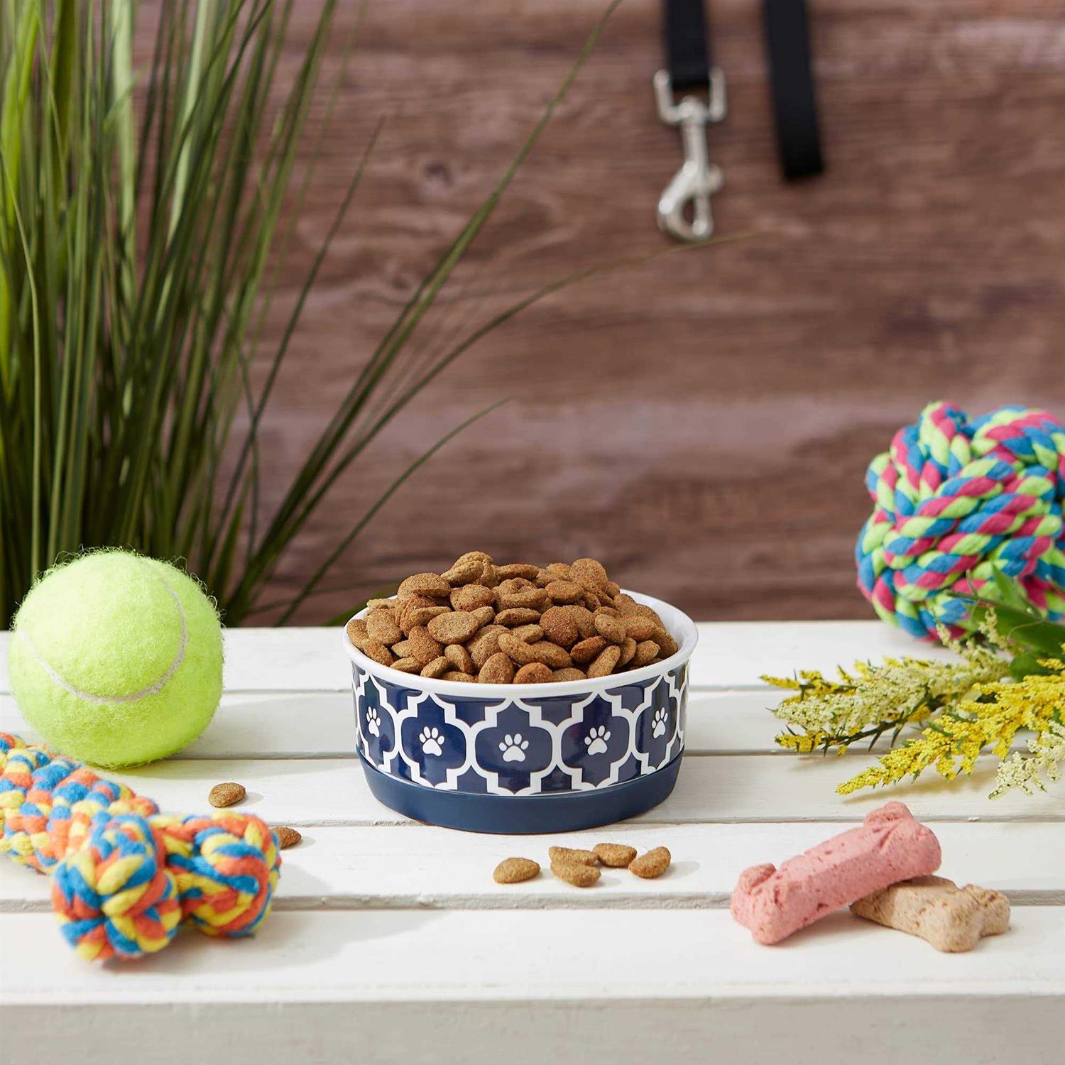 Bone Dry Lattice Pet Bowl - Healthber
