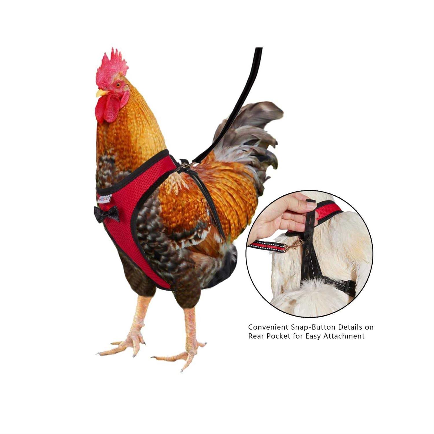 Yesito Chicken Harness Hen Size with 6ft Matching Leash - Healthber