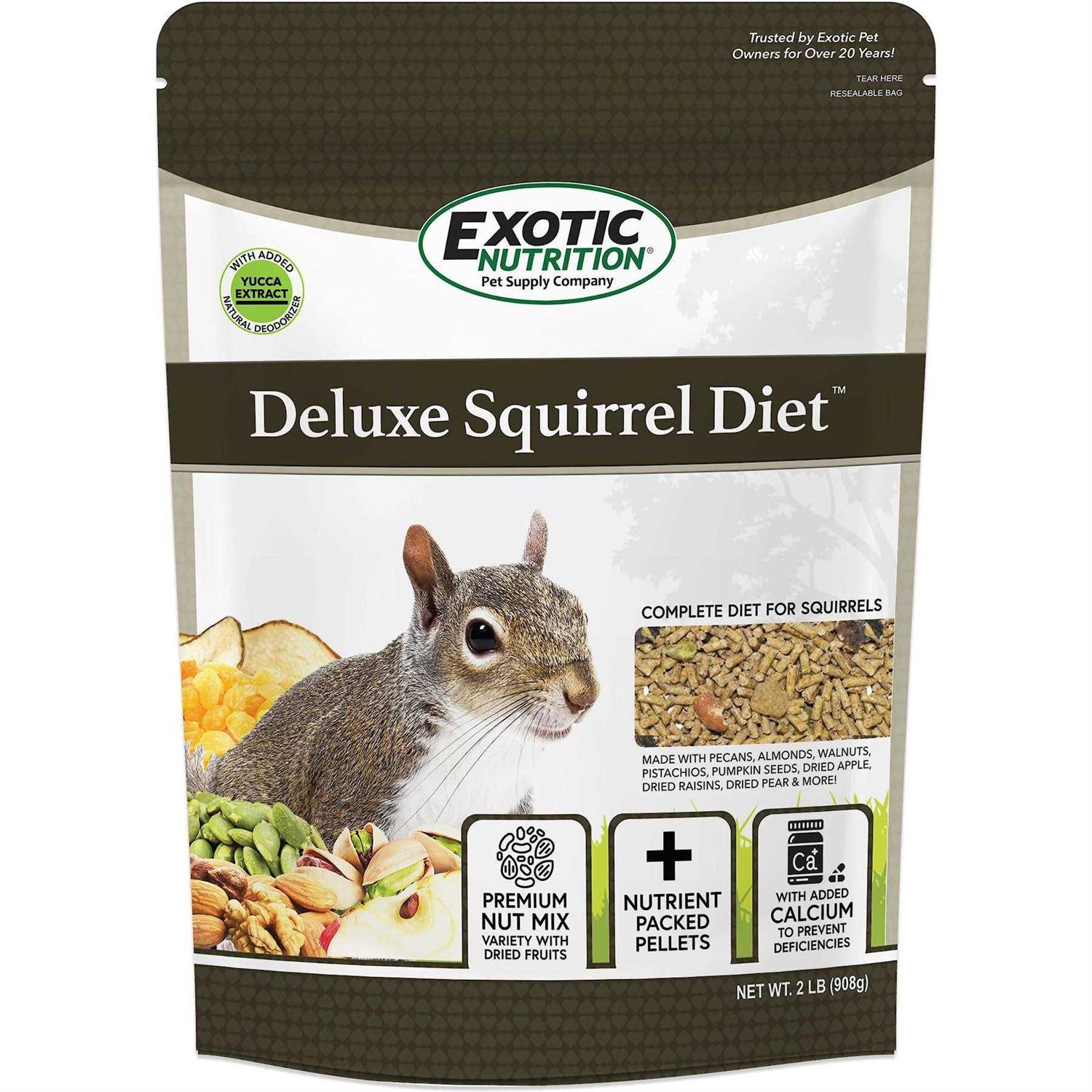 Exotic Nutrition Deluxe Diet Squirrel Food - Healthber