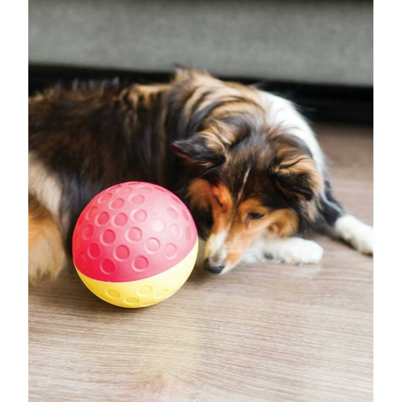 Nina Ottosson Treat Tumble Dog Toy - Healthber