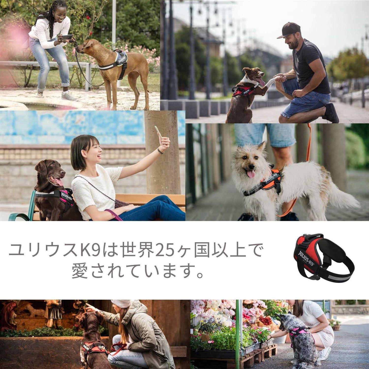 Julius-K9 IDC-Powerharness - Healthber