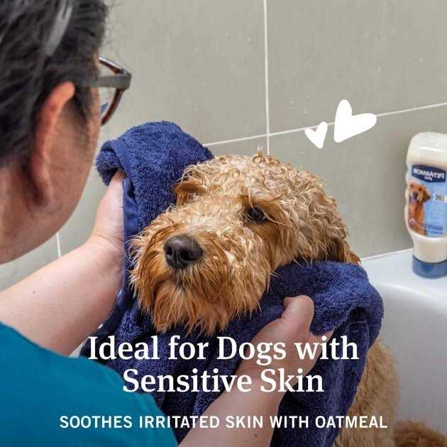 PetArmor Flea and Tick Shampoo for Dogs Hawaiian Ginger Scent - Healthber