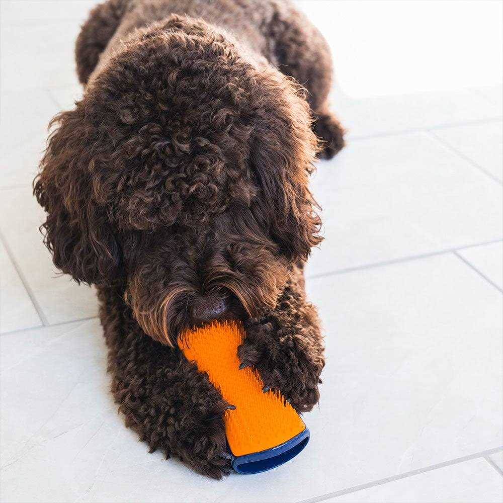 Tangle Teezer Pet Teezer Dog Grooming Brush - Healthber