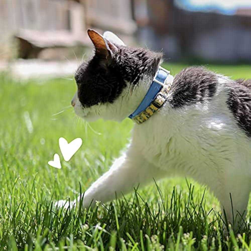 PetArmor Flea & Tick Collar for Cats - Healthber