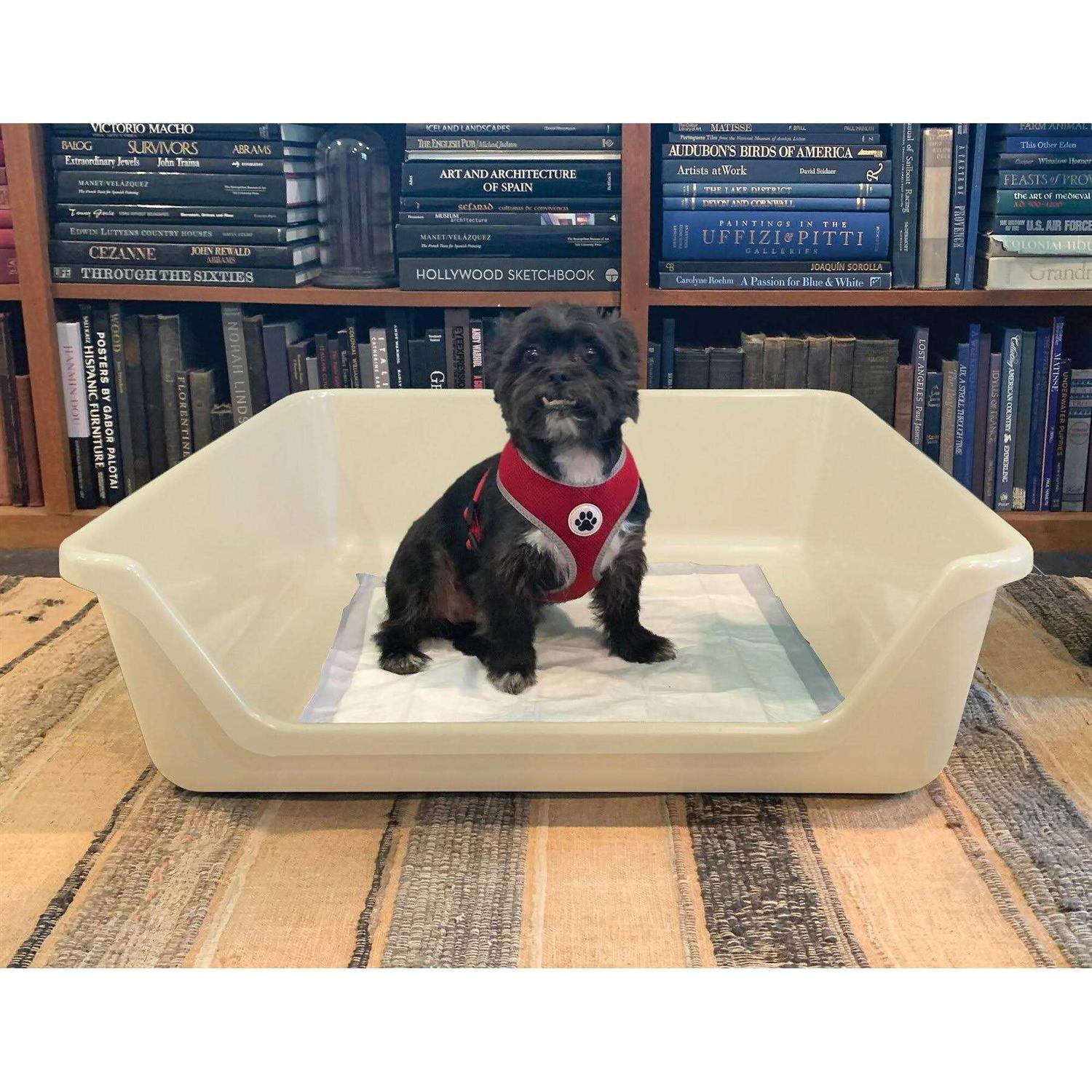 Shirley K’s Indoor Dog Potty Tray - Healthber