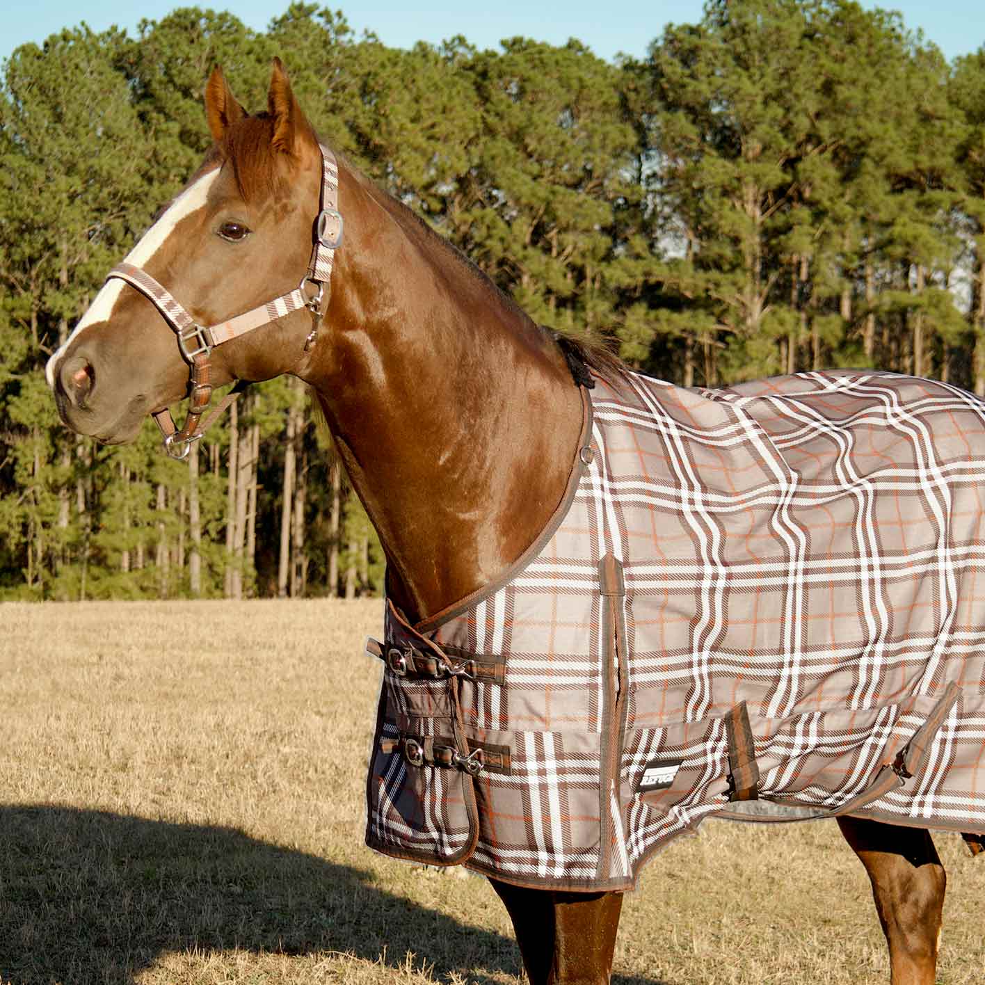 Poplar Head Refuge 1200 Denier Turnout Blanket, 240 Gram, Plymouth Brown Plaid - Healthber