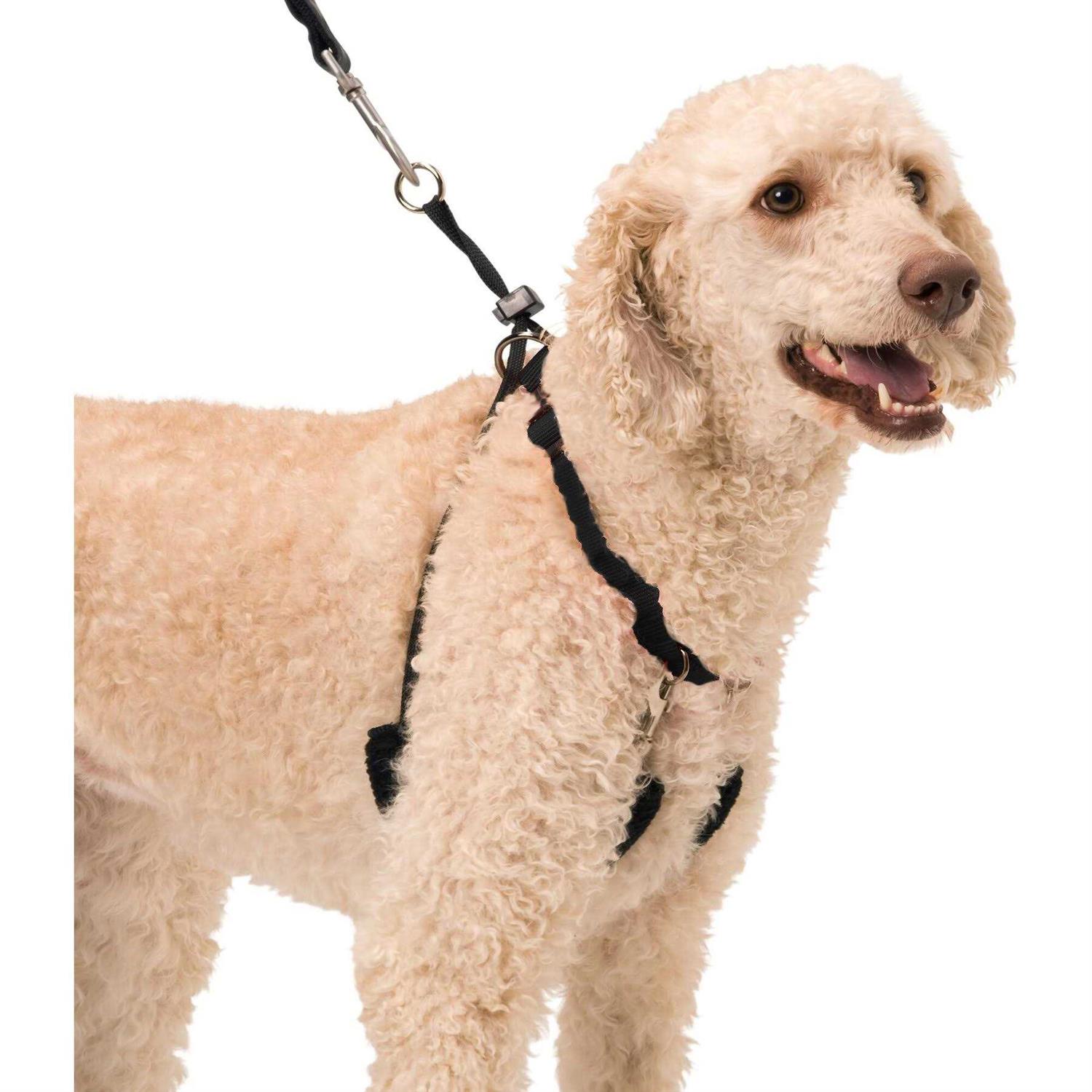 Sporn Halter - Healthber