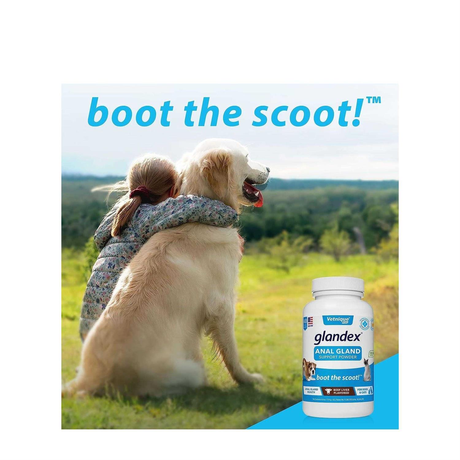 Glandex Anal Gland Support Powder for Dogs & Cats - Healthber