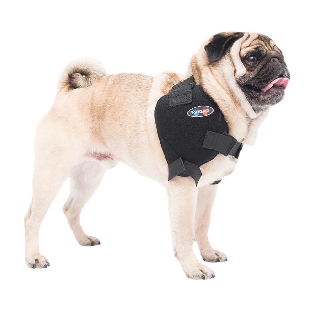 Caldera Pet Therapy Shoulder Wrap with Therapy Gel - Healthber