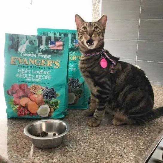 Evanger’s Grain Free Meat Lover’s Medley with Rabbit Dry Cat Food - Healthber