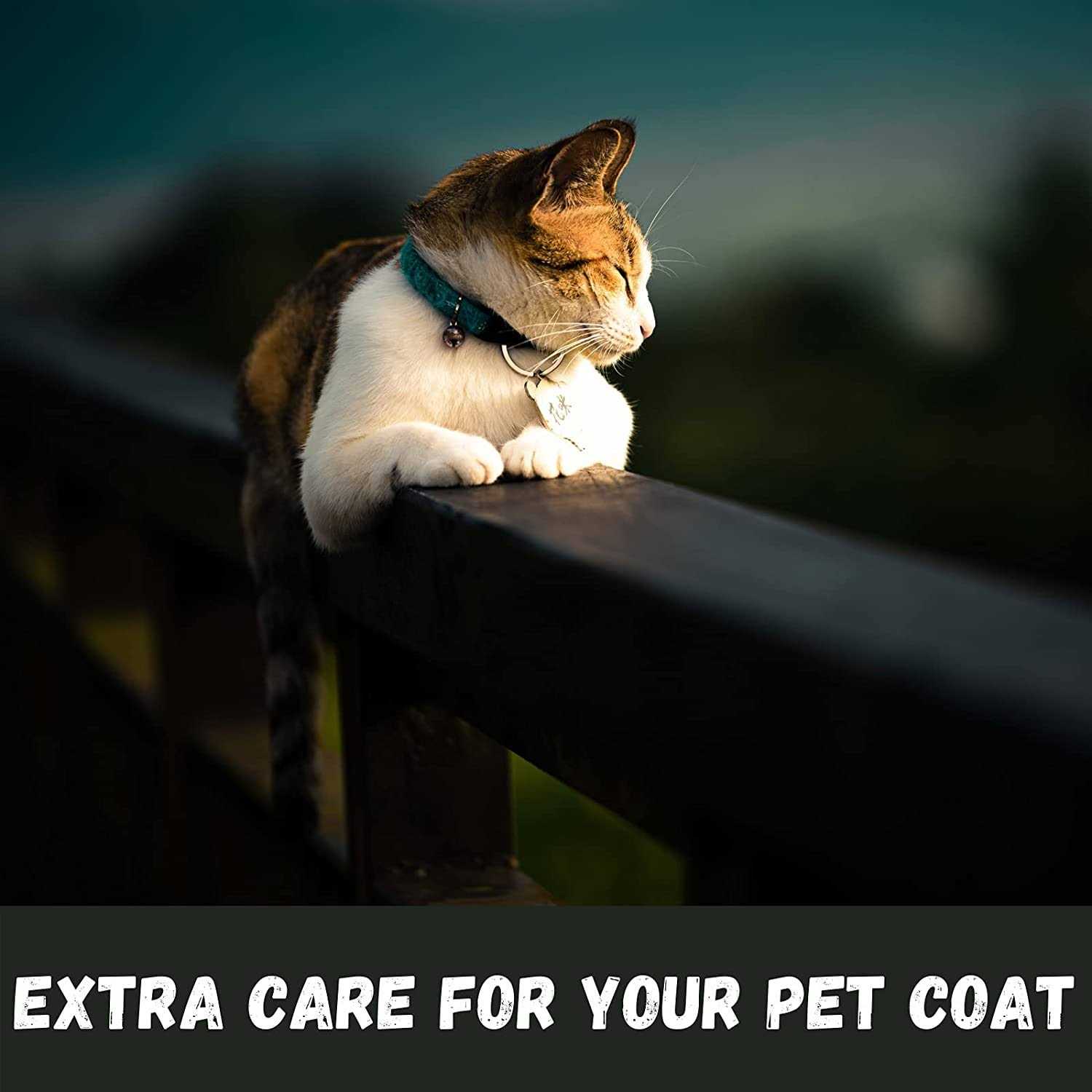 Bio Groom Purrfect White Cat Shampoo - Healthber