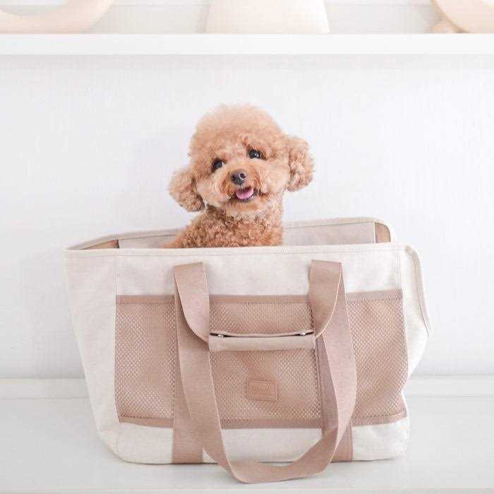Small Dog Carrier for Pets up to 18lbs. Canvas Lightweight Water Resistant Pet Carrier. Perfect for Puppies or Kittens. Lambwolf Subway Carrier - Healthber