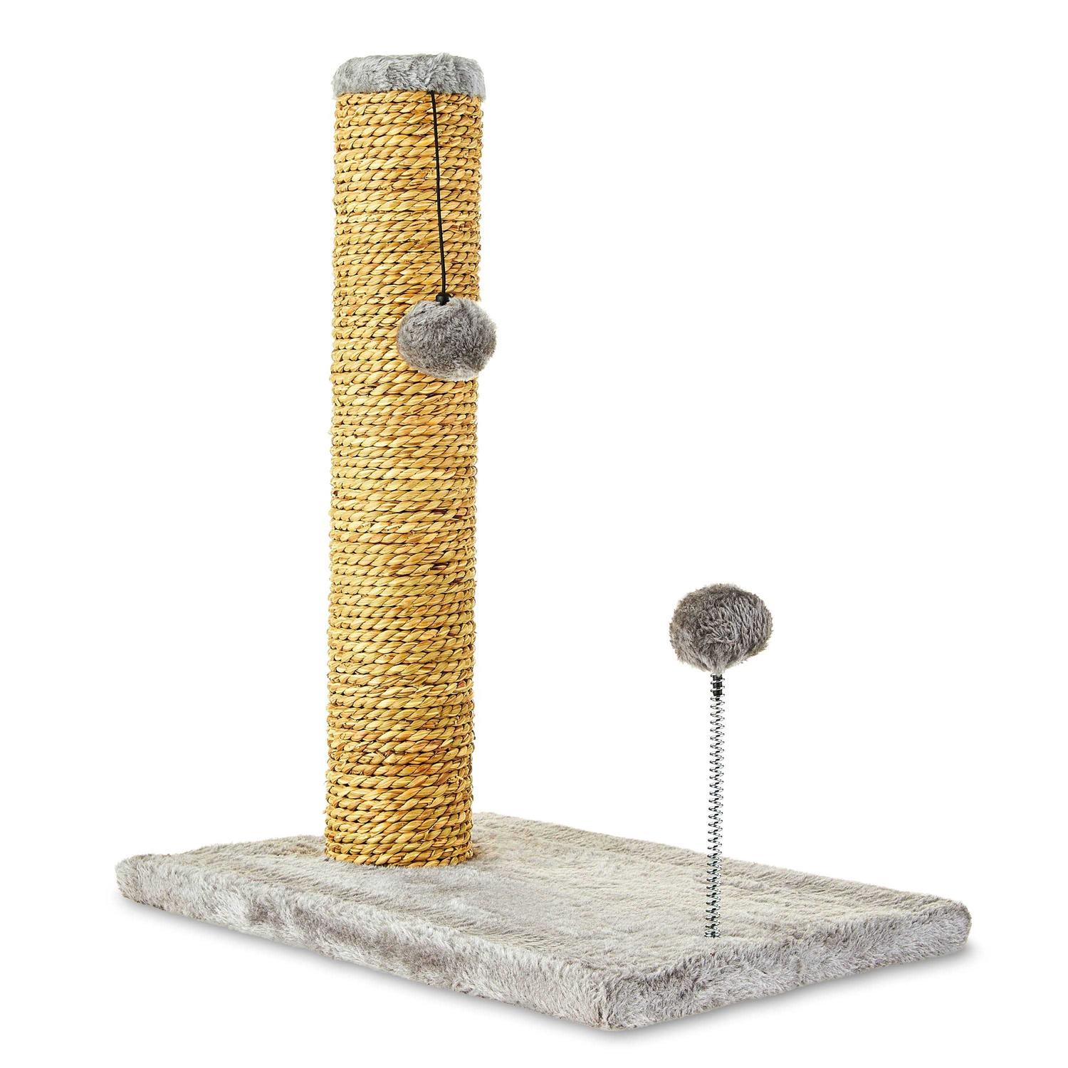 Vibrant Life Small Seagrass Scratch and Play Post - Healthber