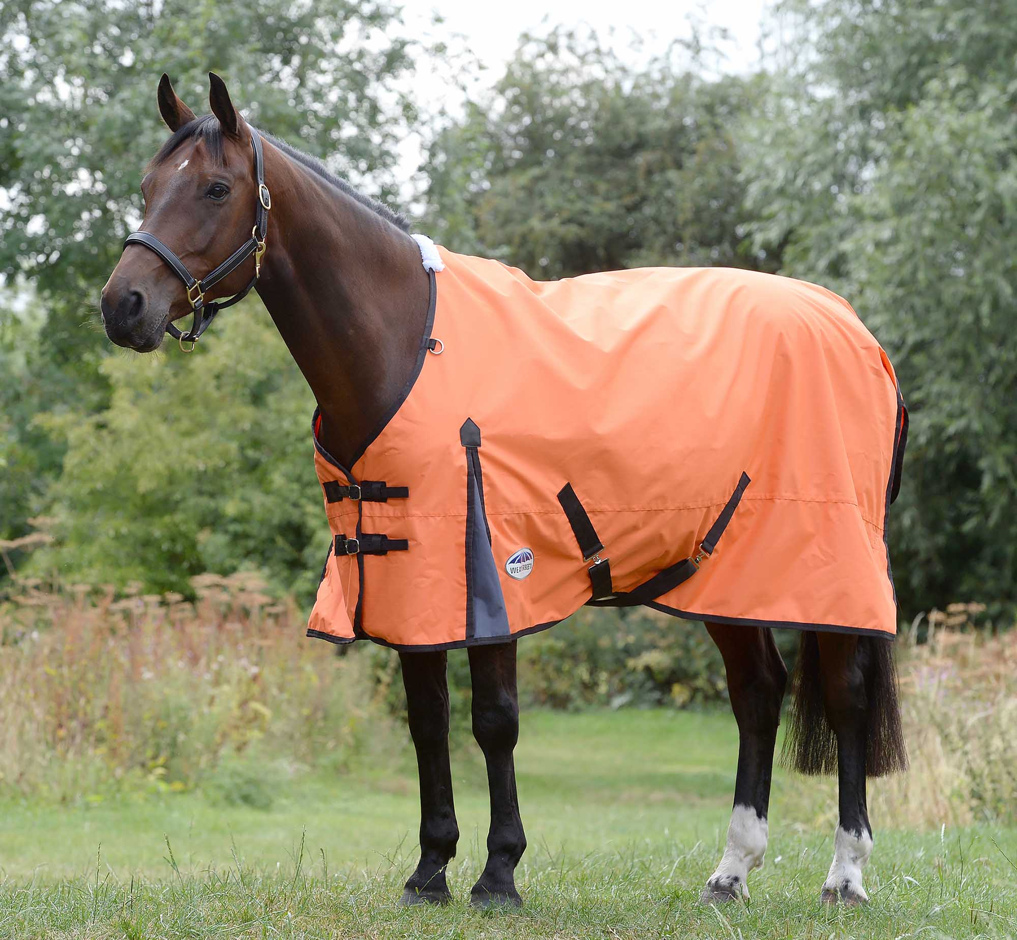 WeatherBeeta ComFITec Classic Standard Neck Turnout Sheet - Healthber