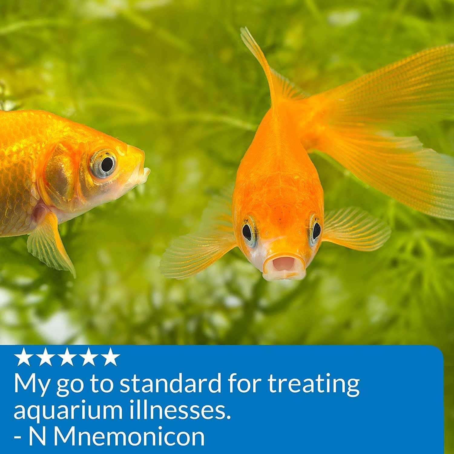 API Pimafix Antifungal Fish Remedy - Healthber