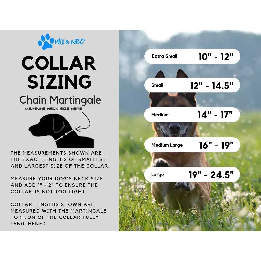 Max and Neo Stainless Steel Chain Martingale Collar We Donate a Collar to a Dog Rescue for Every Collar Sold - Healthber