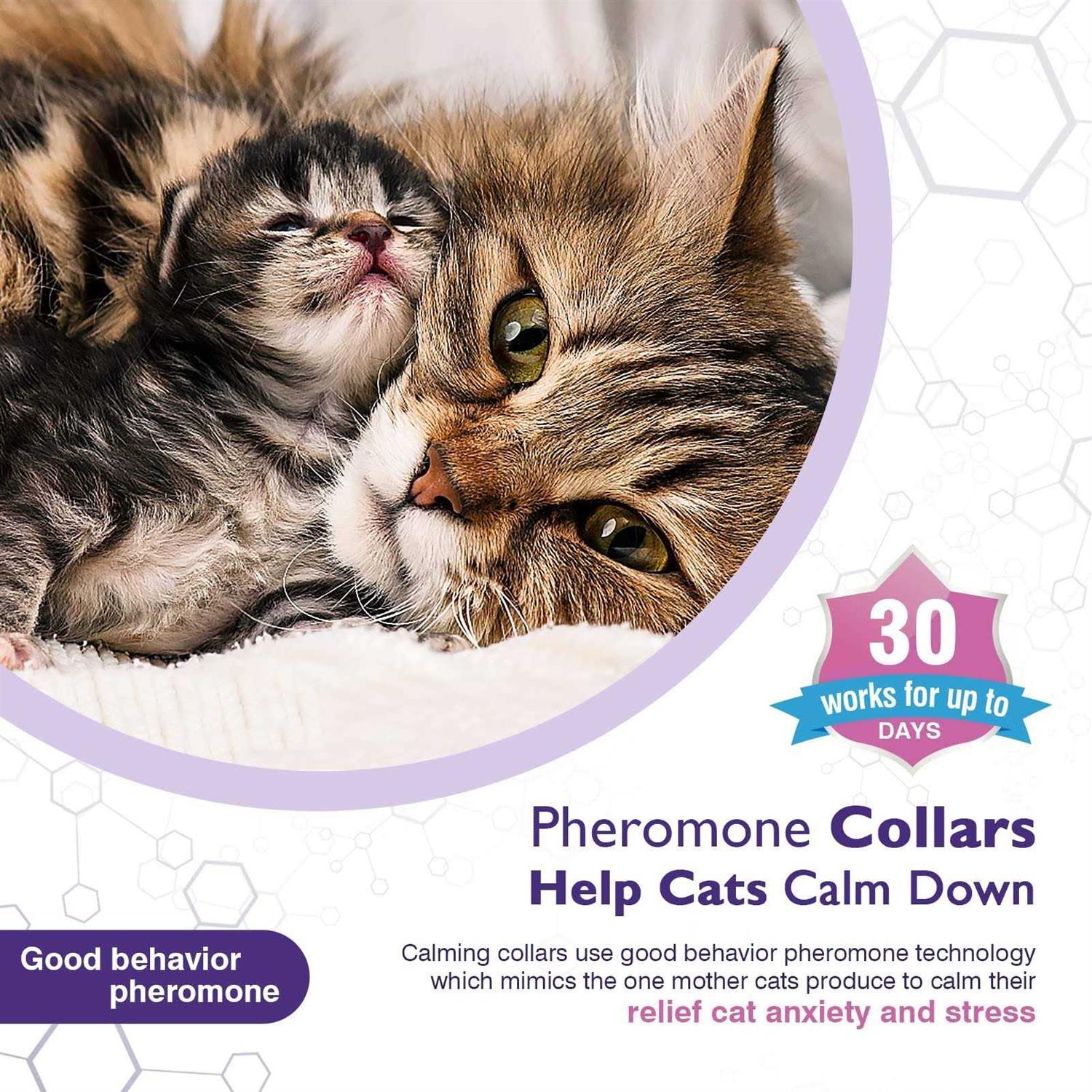 Tcllka 3 Pack Calming Collar Efficient Relieve Reduce Anxiety Stress Pheromones Calm Relaxing Comfortable Breakaway - Healthber