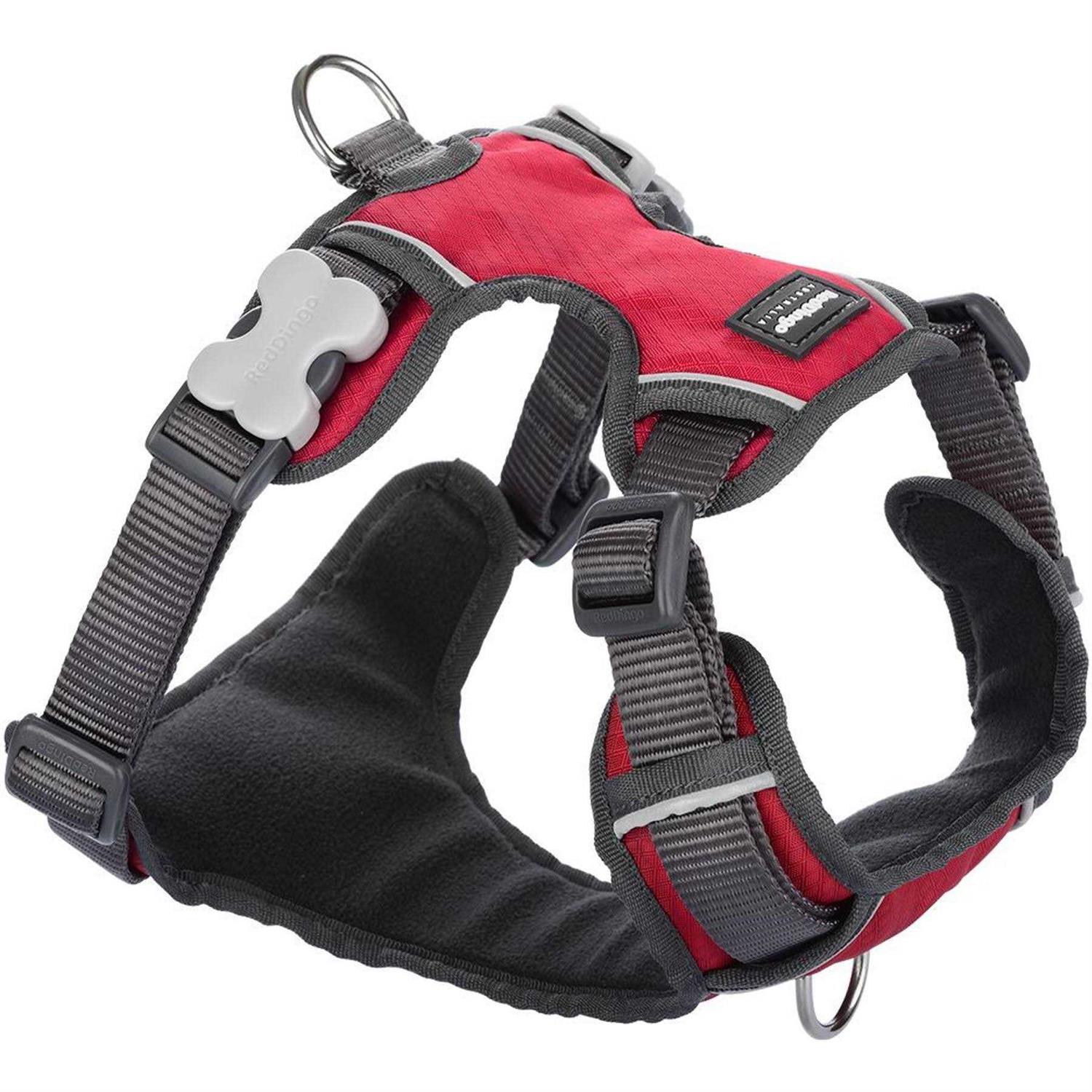Dog Harness Red Dingo Padded - Healthber
