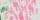 Pink Papyrus Isabella Collar, Floral - Healthber
