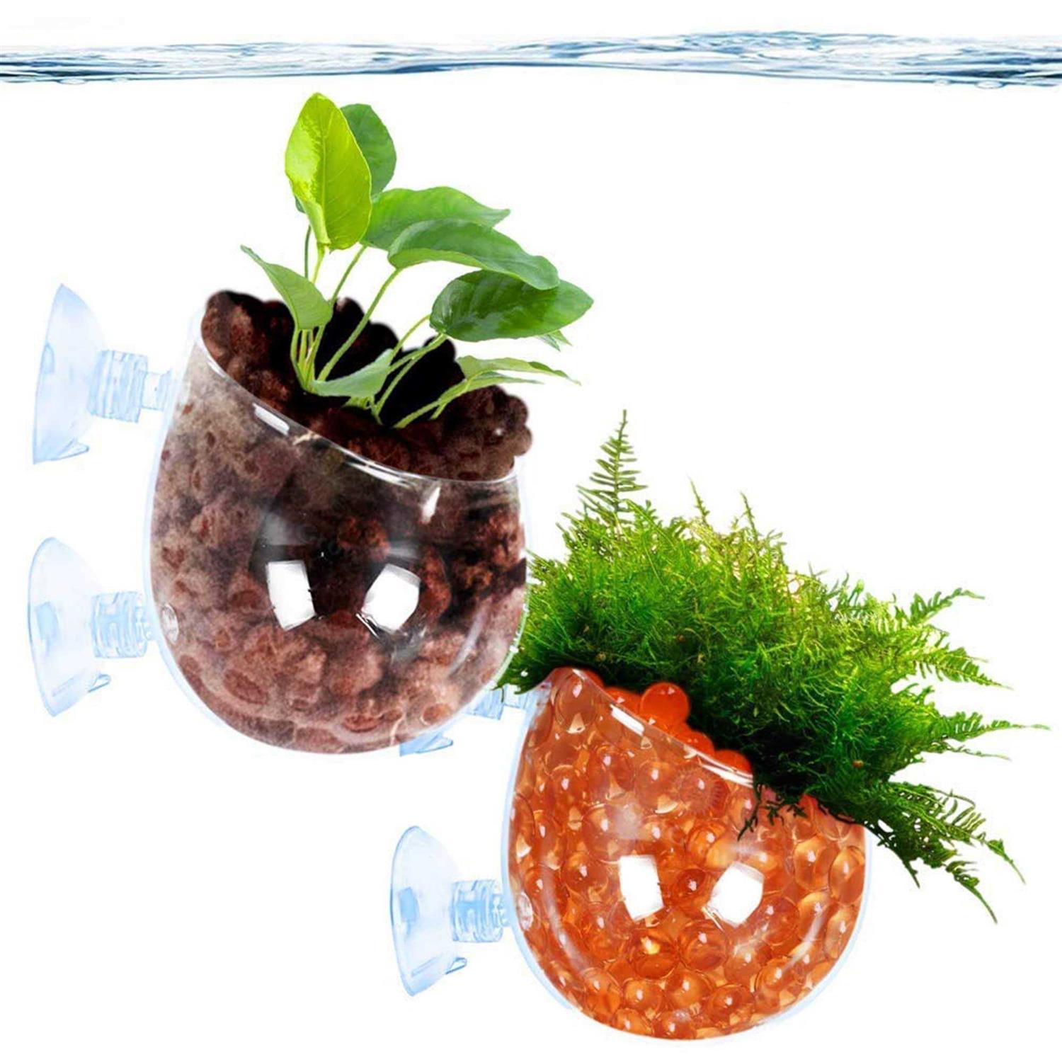 SunGrow 2-Pack Aquatic Plant Pot with Suction Cups Crested Gecko Food Holder - Healthber