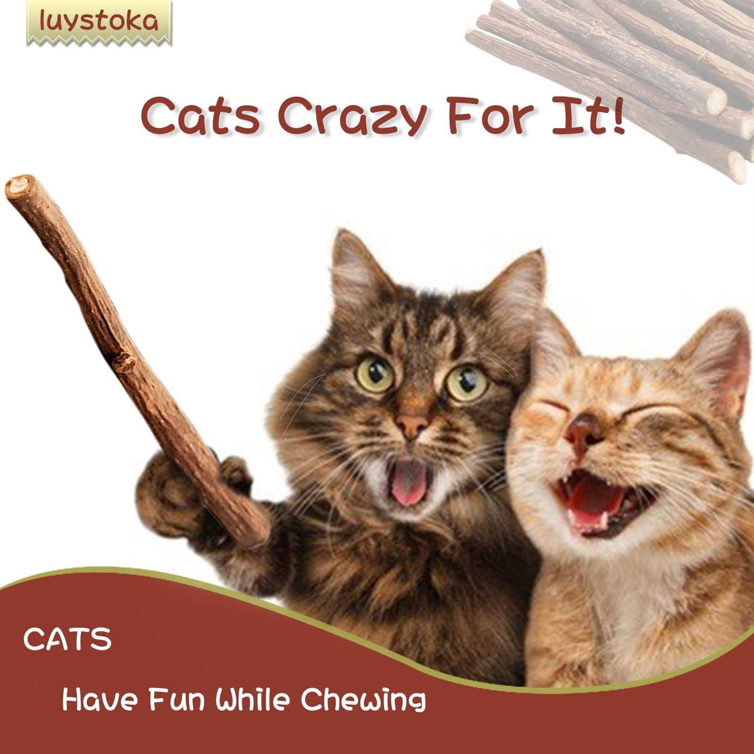 Luystoka 30pcs Kitten Toys Catnip Toys Matatabi Silvervine Sticks Kitty Chew Toys Wooden Stick Kitten Teething Toys Molar Suitable for Cats of All - Healthber