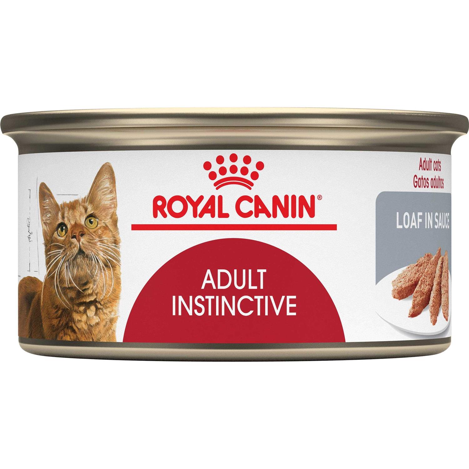 Royal Canin Loaf in Sauce Canned Cat Food - Healthber
