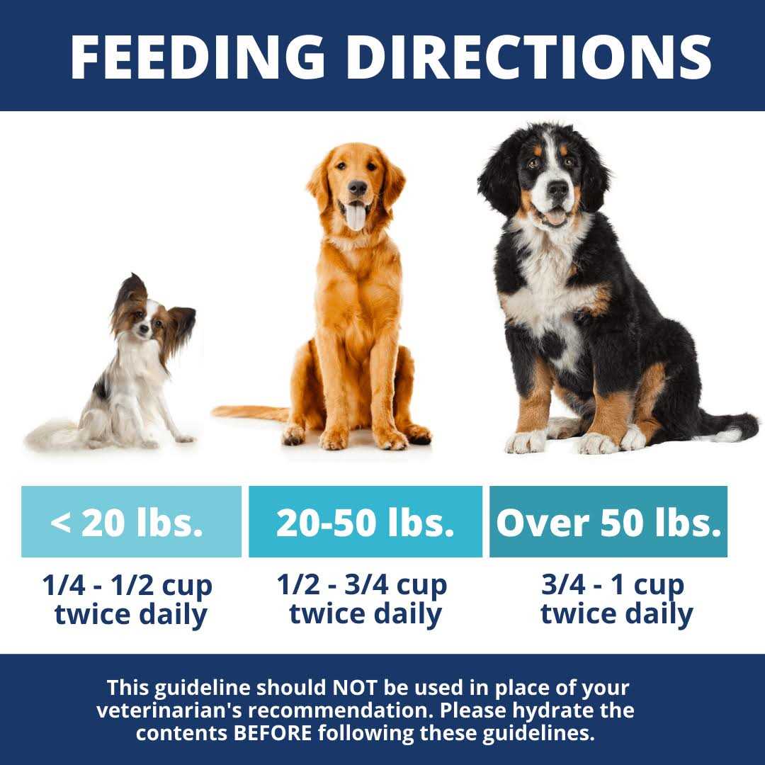 Under the Weather Chicken Rice & Pumpkin Freeze-Dried Bland Diet for Dogs - Healthber