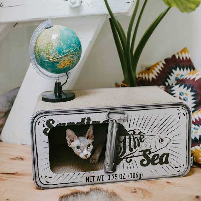 District 70 Sardine Cardboard Cat Scratcher - Healthber