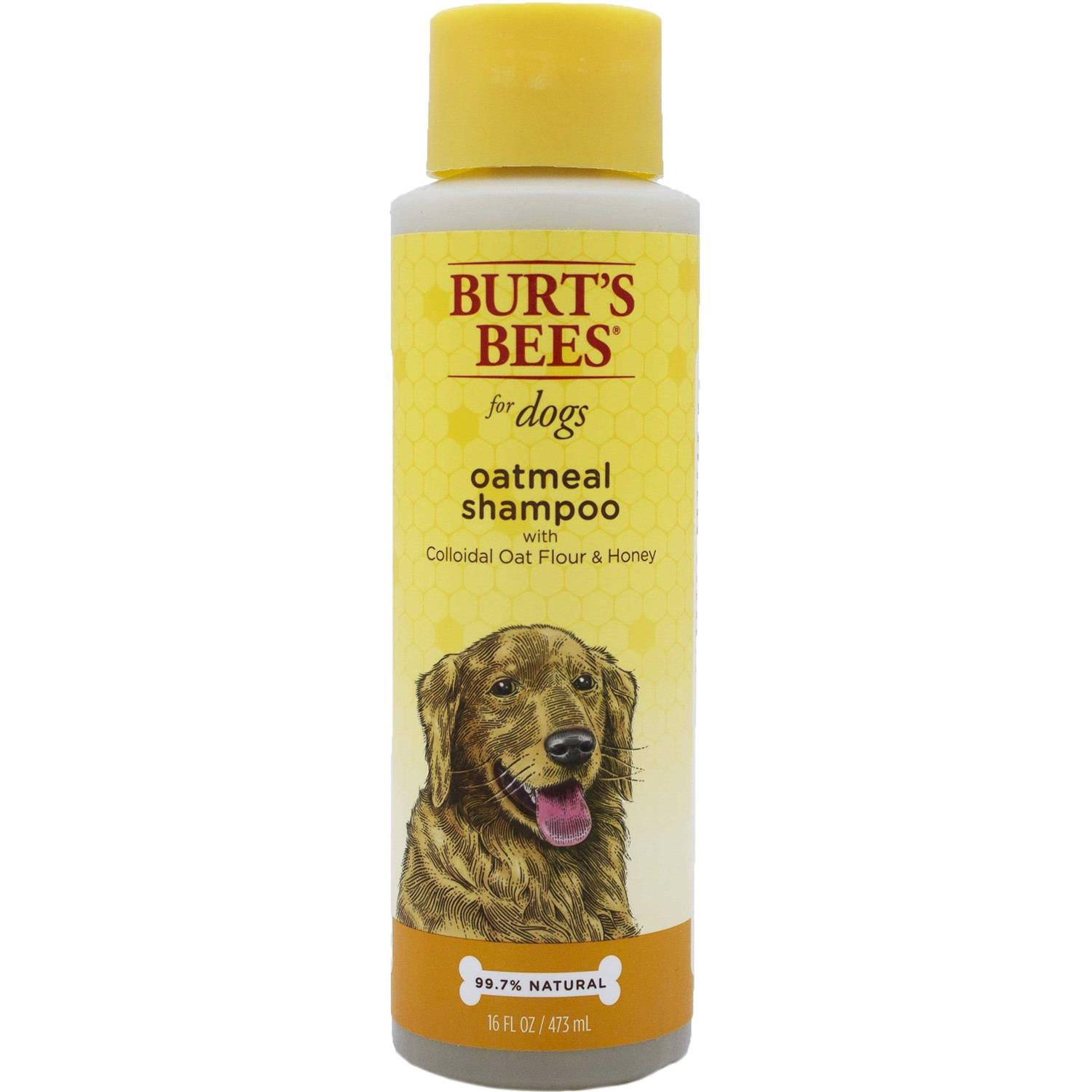 Burt’s Bees Oatmeal Dog Shampoo - Healthber