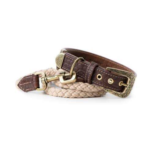 MyFamily El Paso Genuine Embossed Italian Leather Dog Collar - Healthber