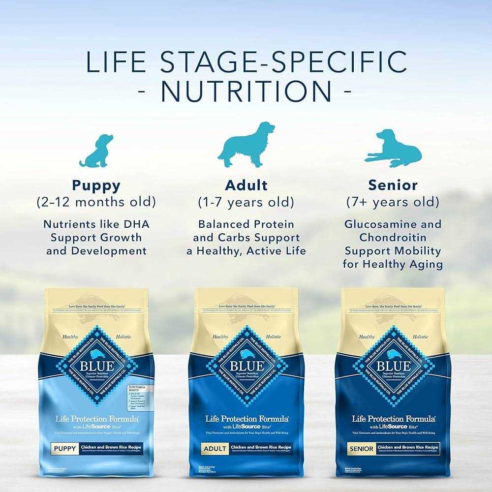 Blue Buffalo Life Protection Formula Beef & Brown Rice Adult Dry Dog Food - Healthber