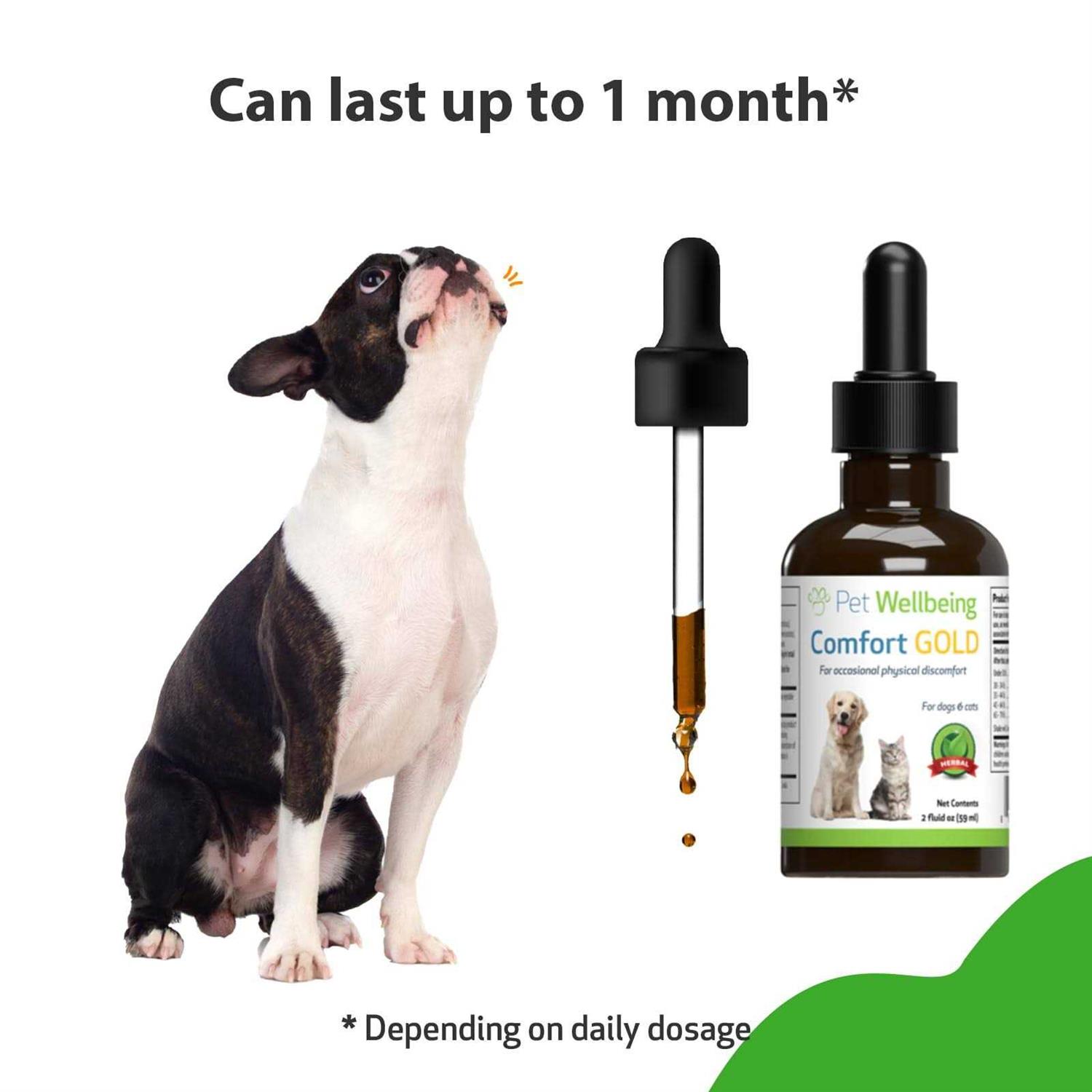Pet Wellbeing Comfort Gold for Dogs - Healthber